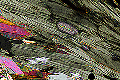 zircon-chlorite